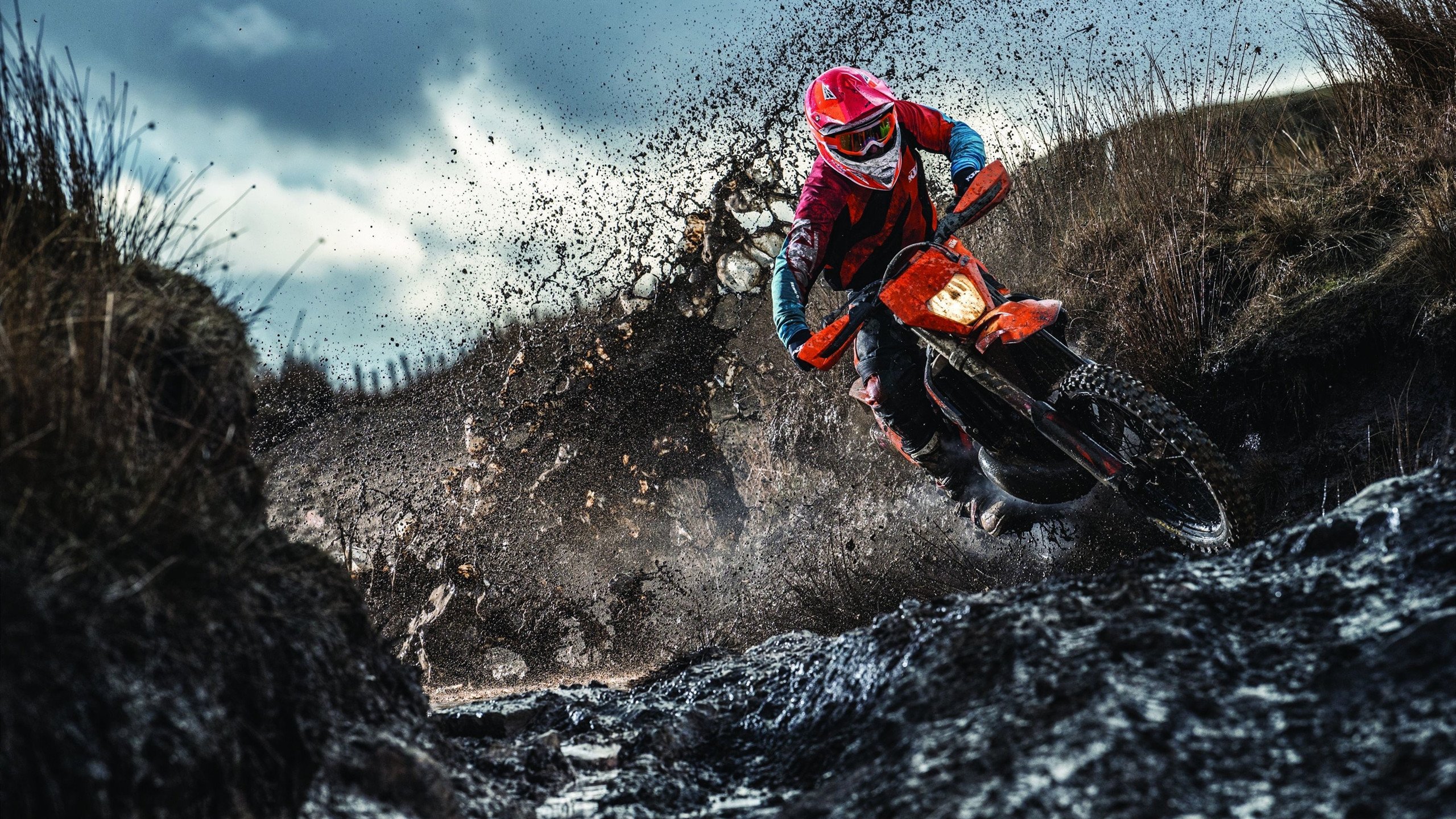 TL新教练:重塑团队文化,t1新教练组